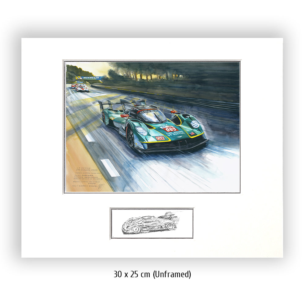 #1309 'Aston Martin THOR Team'