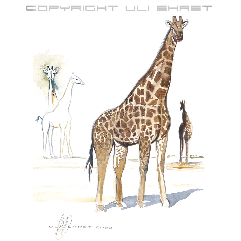 #1016 ""Giraffe Bull""