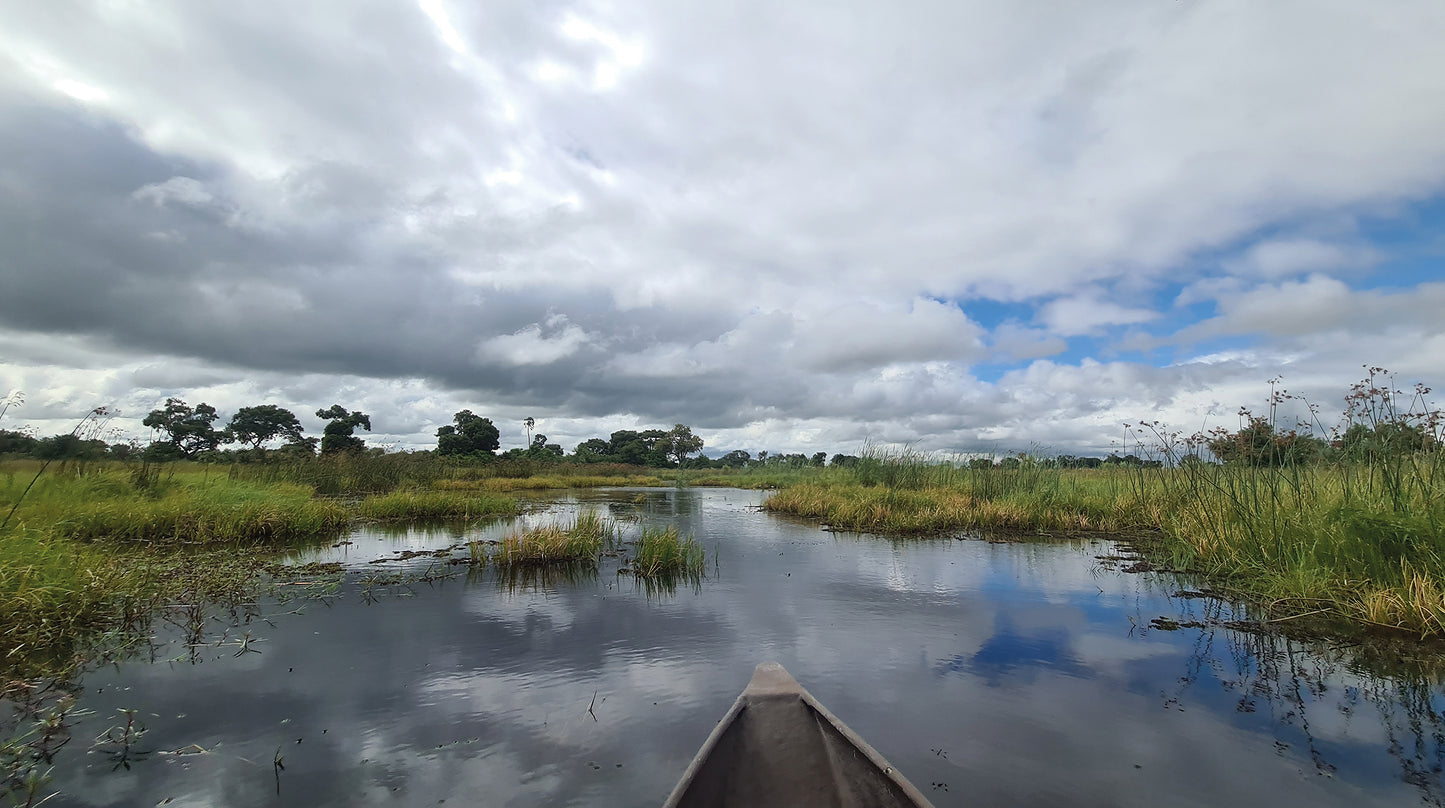 L1015 Mokoro Drive - Dugout canoe ride in the Okavango Delta