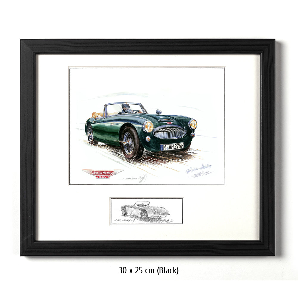 #0209 'Austin Healey 3000