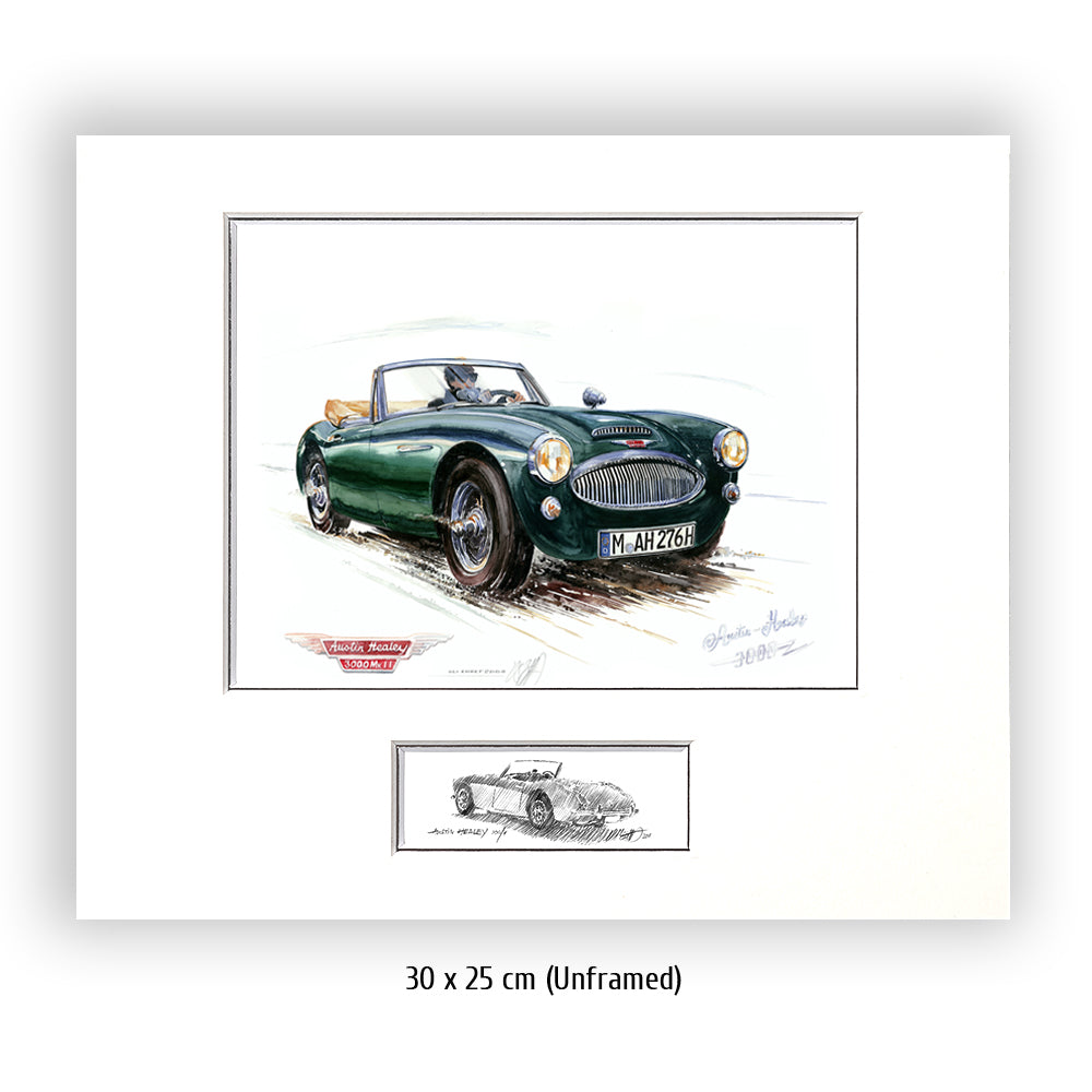 #0209 'Austin Healey 3000