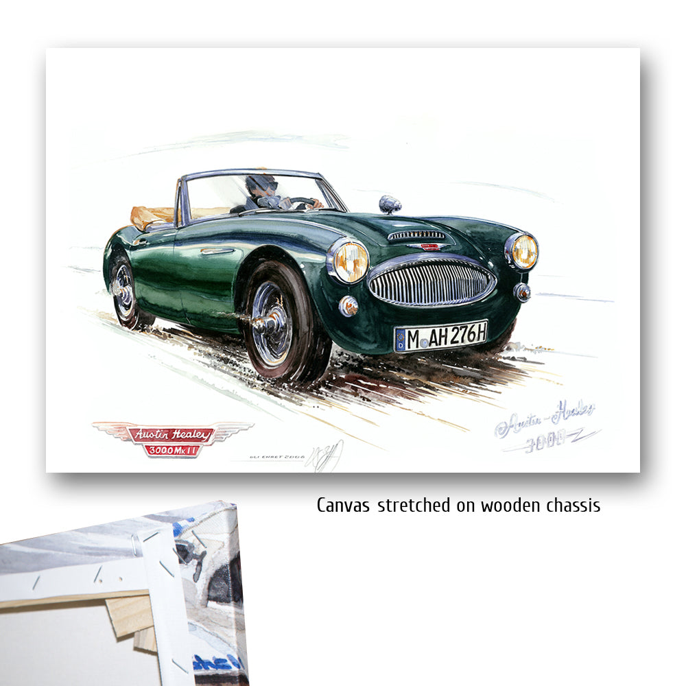 #0209 'Austin Healey 3000