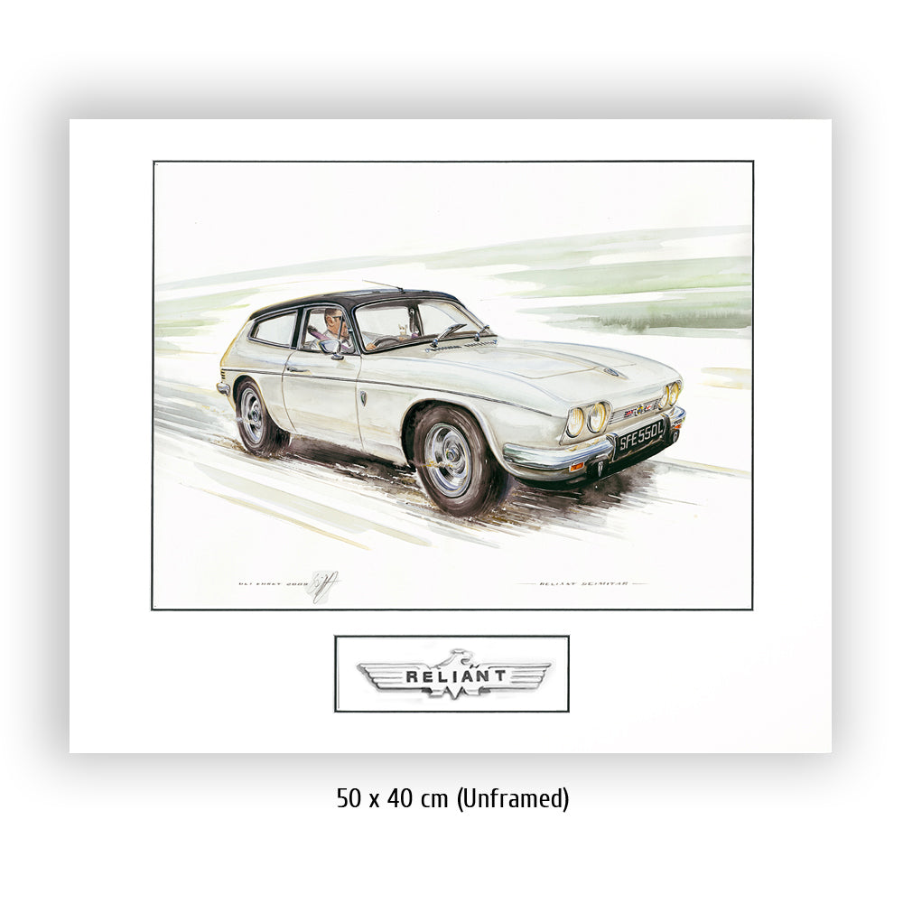 #0243 'Reliant Scimitar