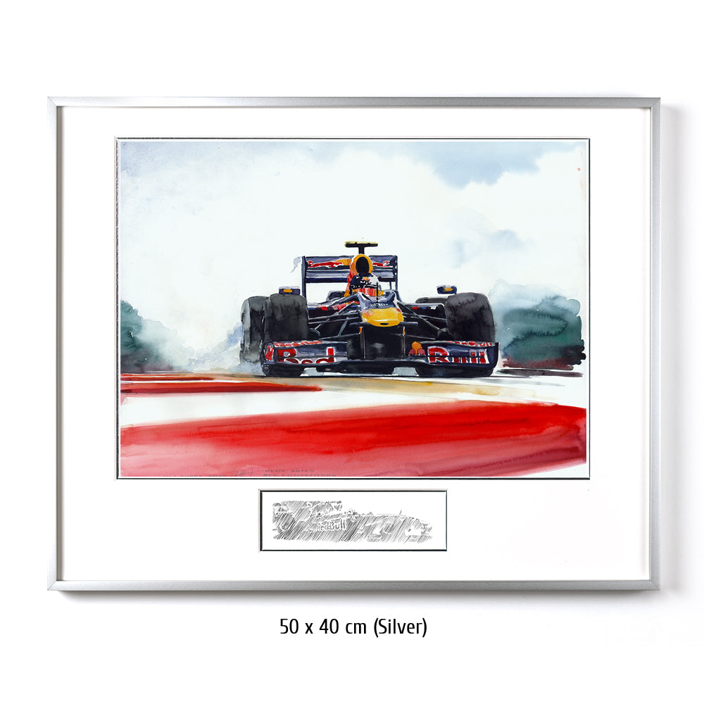 #0287 ""Sebastian Vettel""