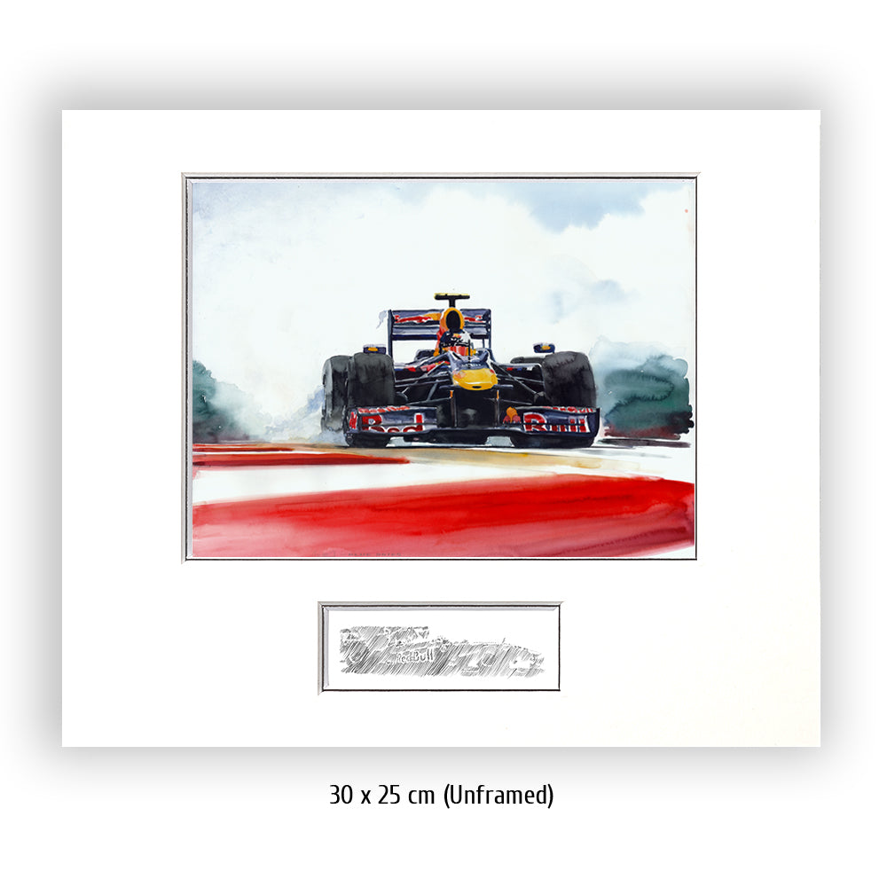 #0287 ""Sebastian Vettel""