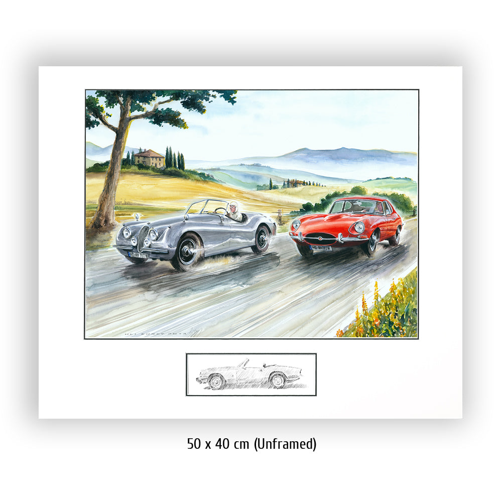 #0479 'Jaguars in Tuscany