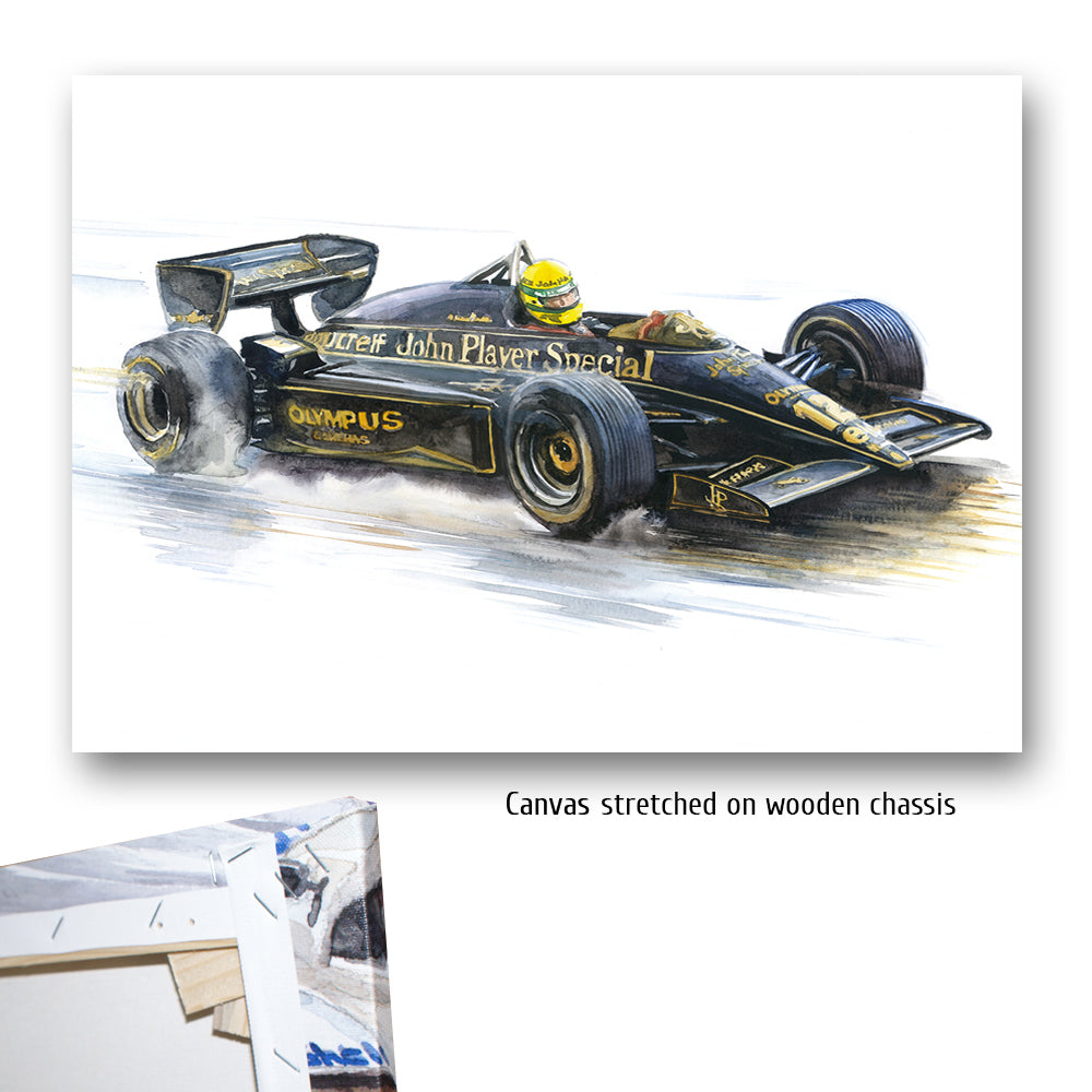 #0491 'Ayrton Senna