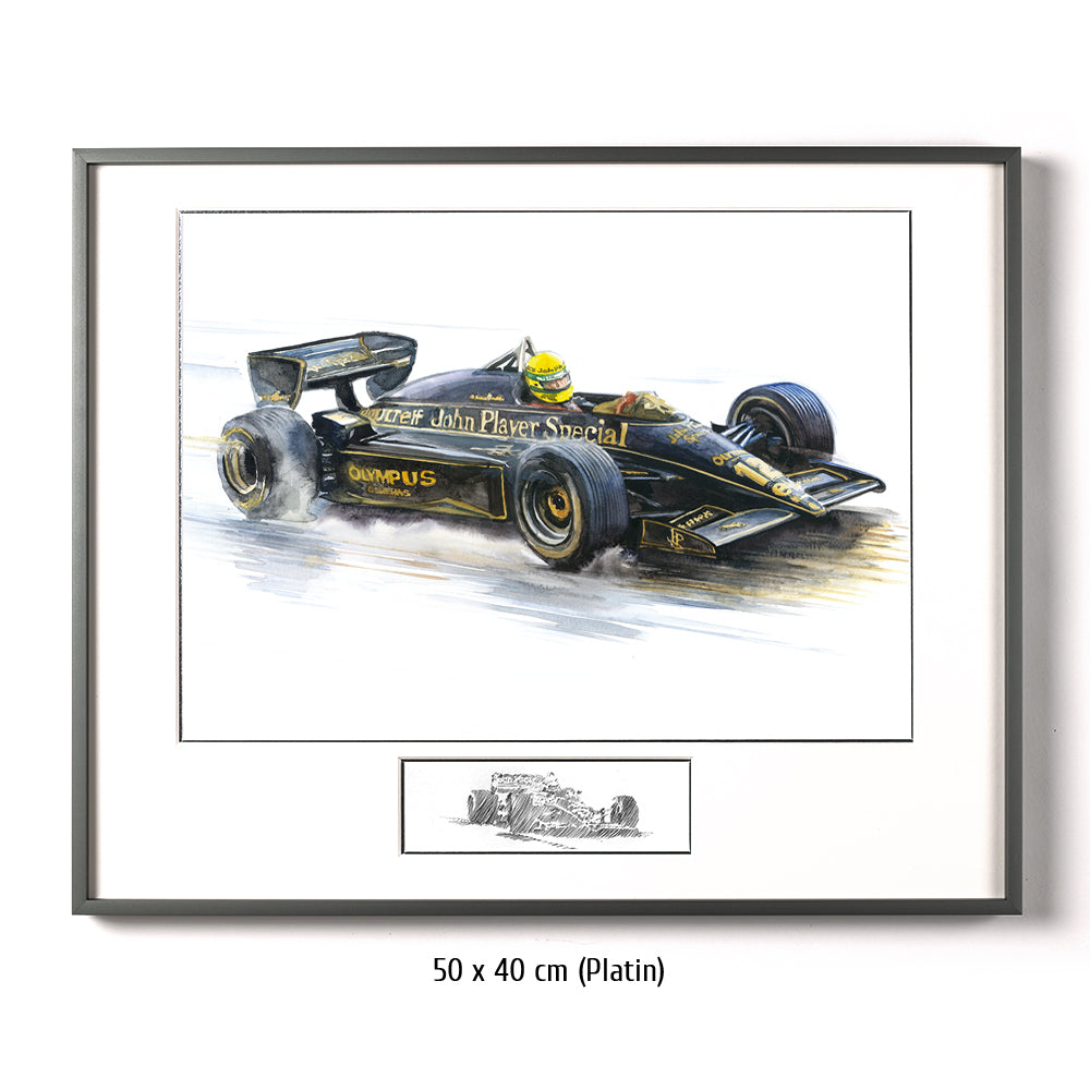 #0491 'Ayrton Senna