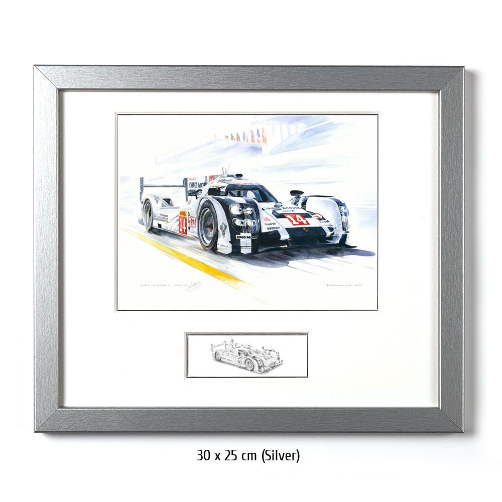 #0495 B ""Porsche 919 LMP1 #14""