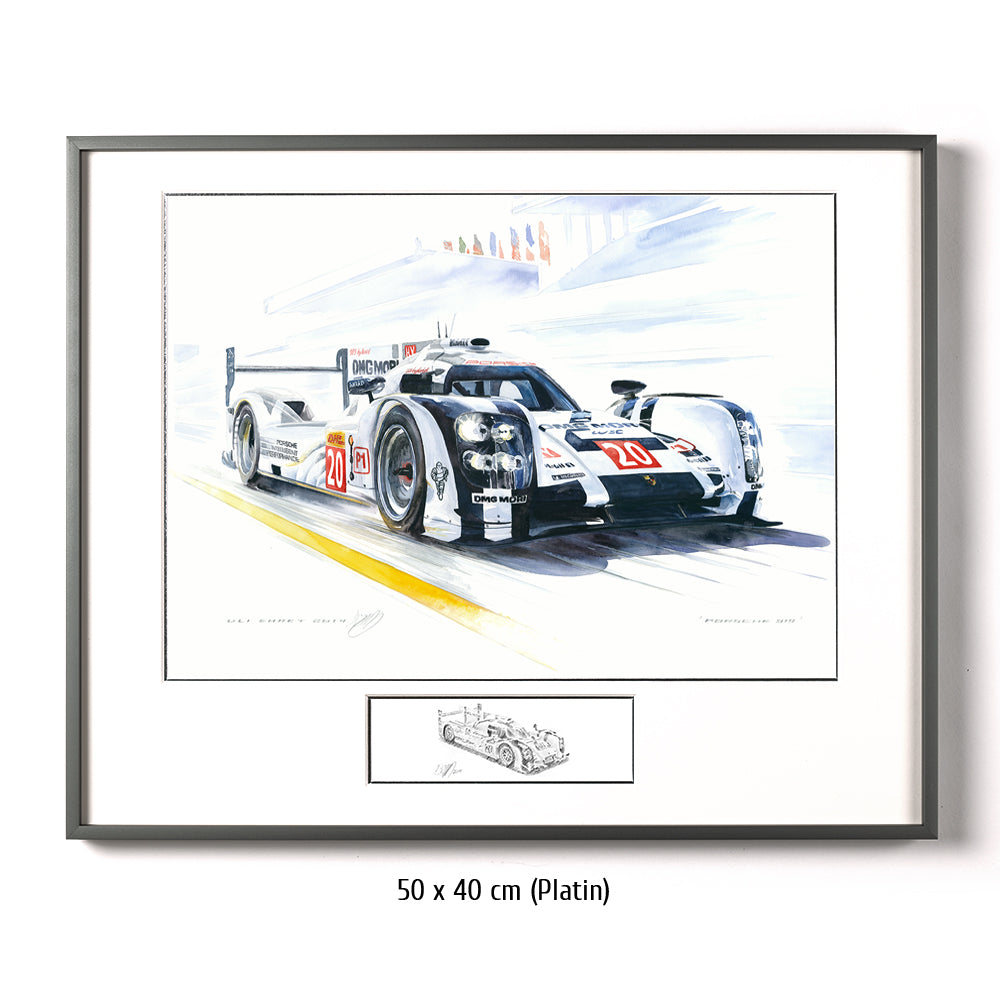 #0495 A ""Porsche 919 LMP1 #20""