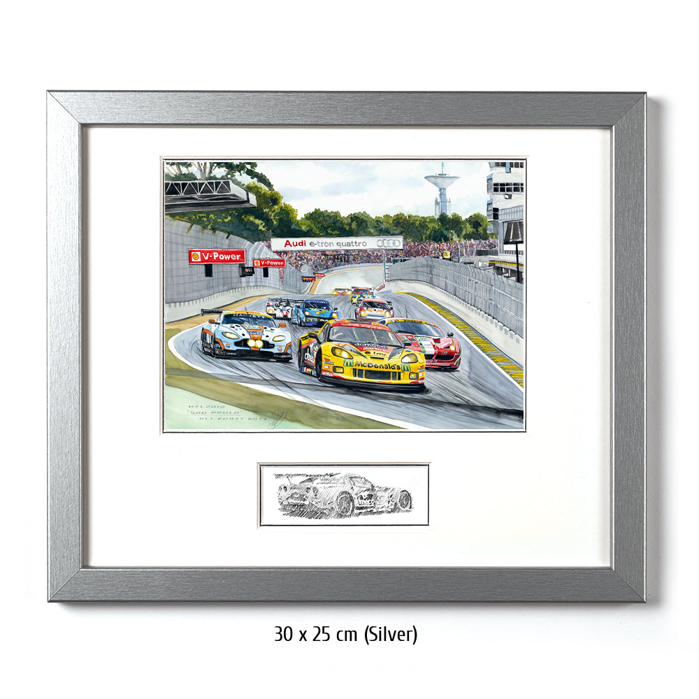 #0655 'Sao Paulo 6 Hours 2012