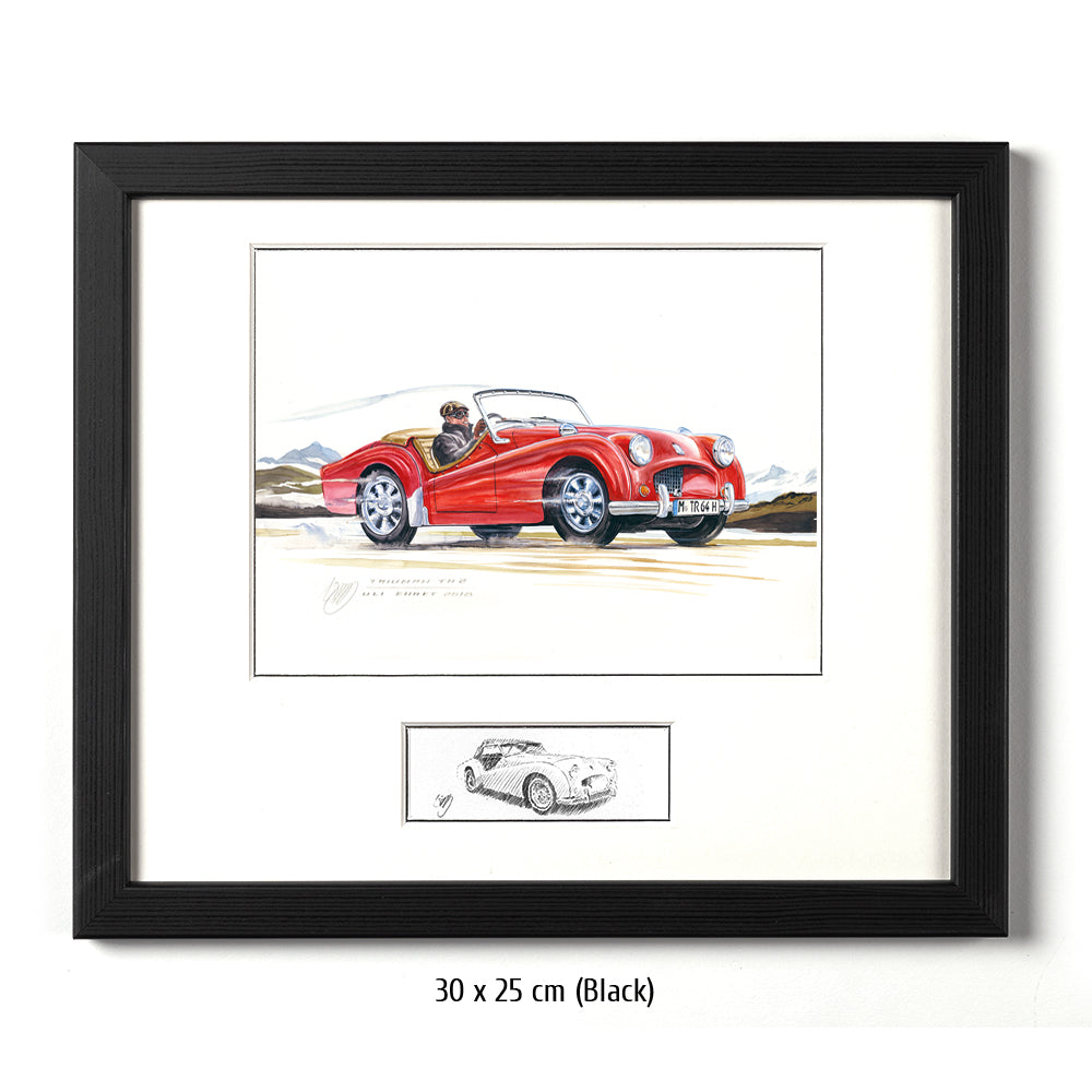 #0770 'Triumph TR2