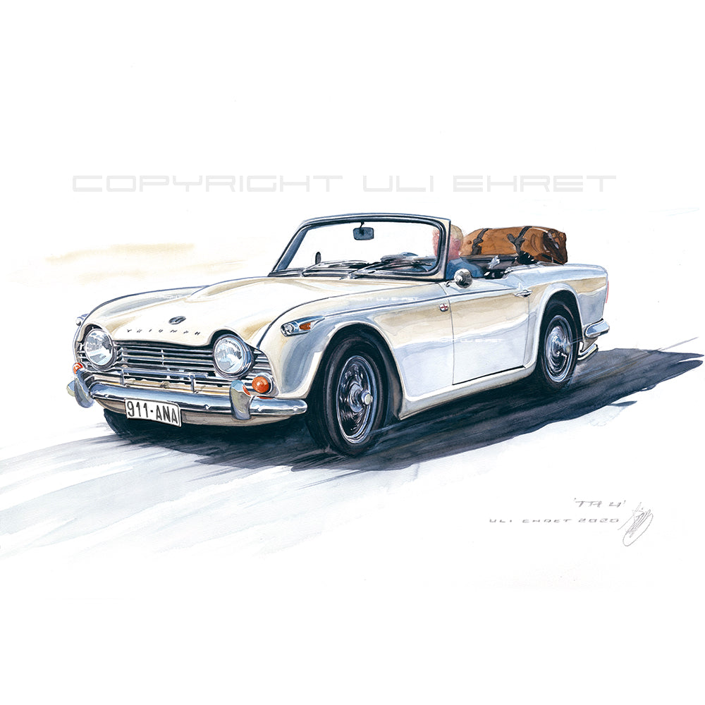 #0873 Triumph TR 250