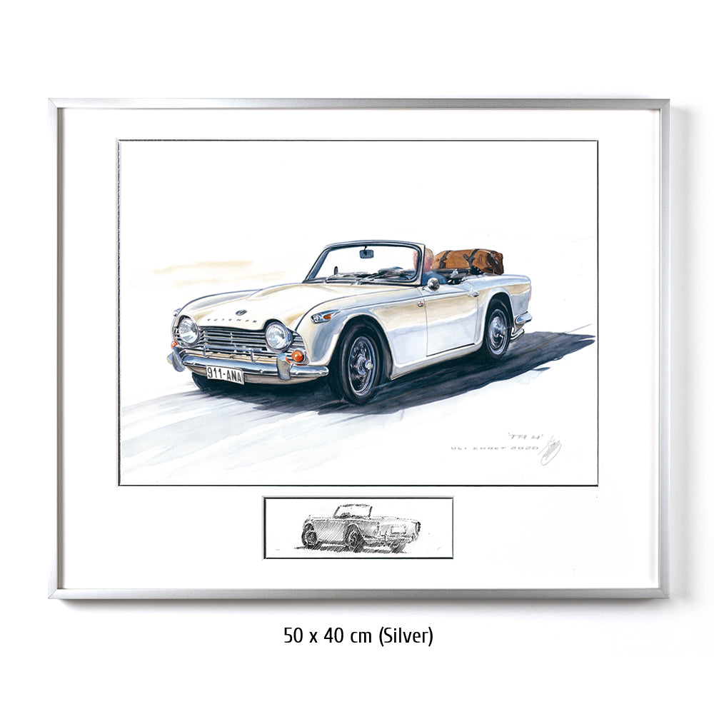 #0873 Triumph TR 250
