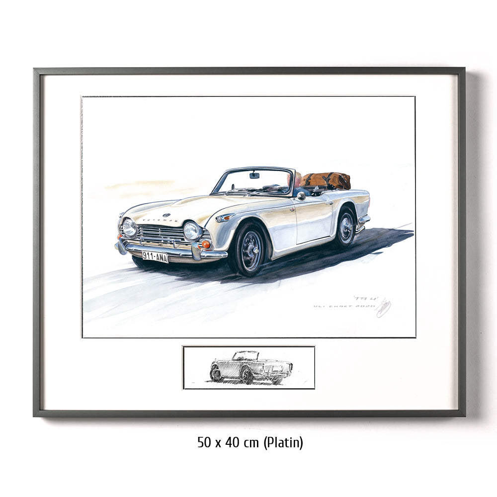 #0873 Triumph TR 250