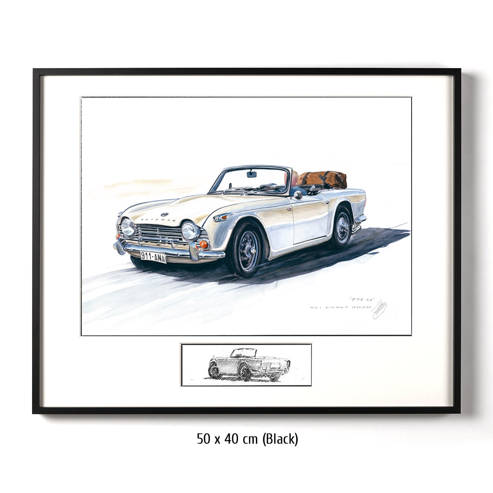 #0873 Triumph TR 250