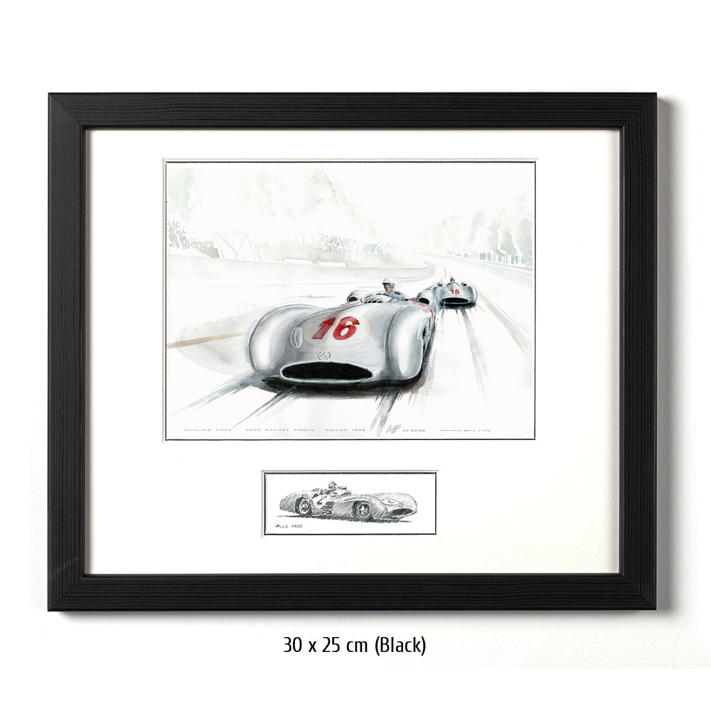 #0088 ""Mercedes W196 Streamliner""