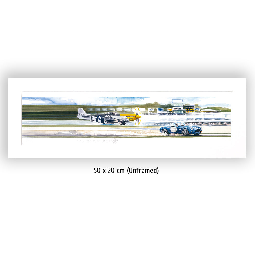 #0965 'Mustang P51 / AC Cobra 427