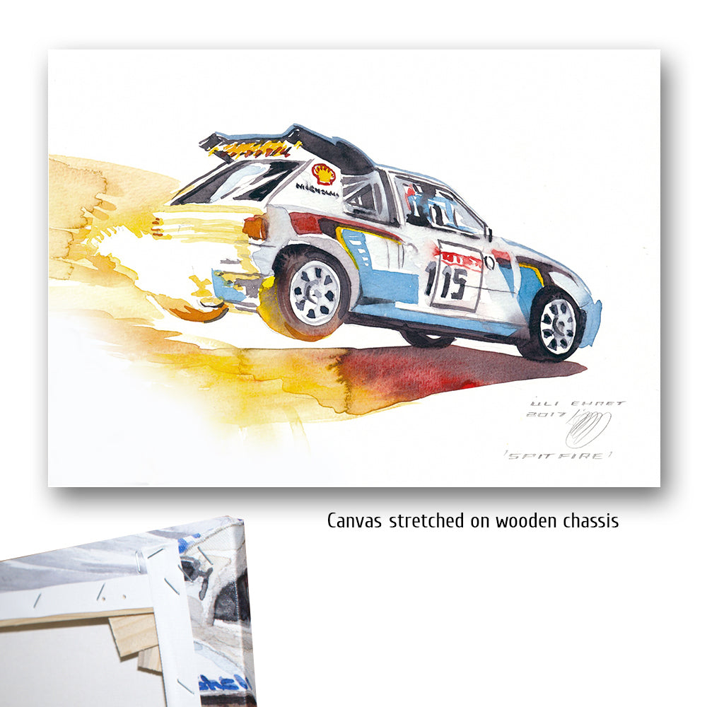 #1232 ""Peugeot 205 GTI"" rally car
