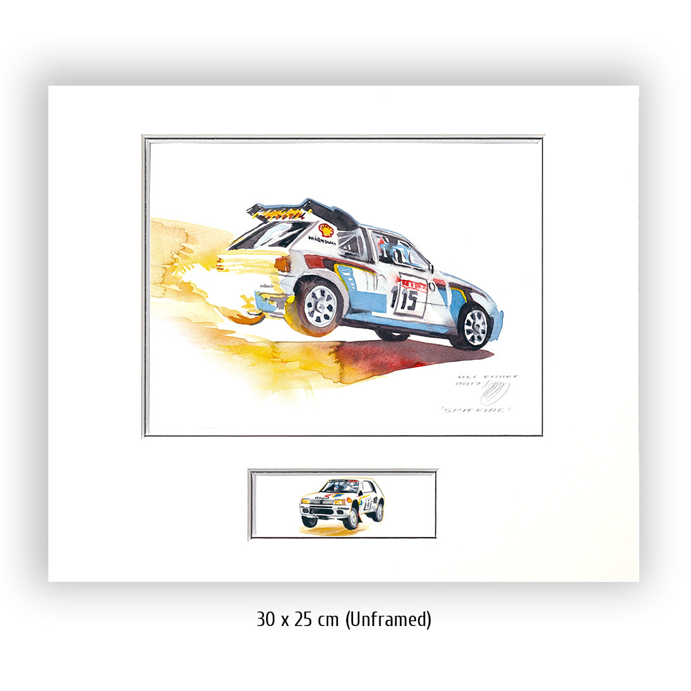 #1232 ""Peugeot 205 GTI"" rally car