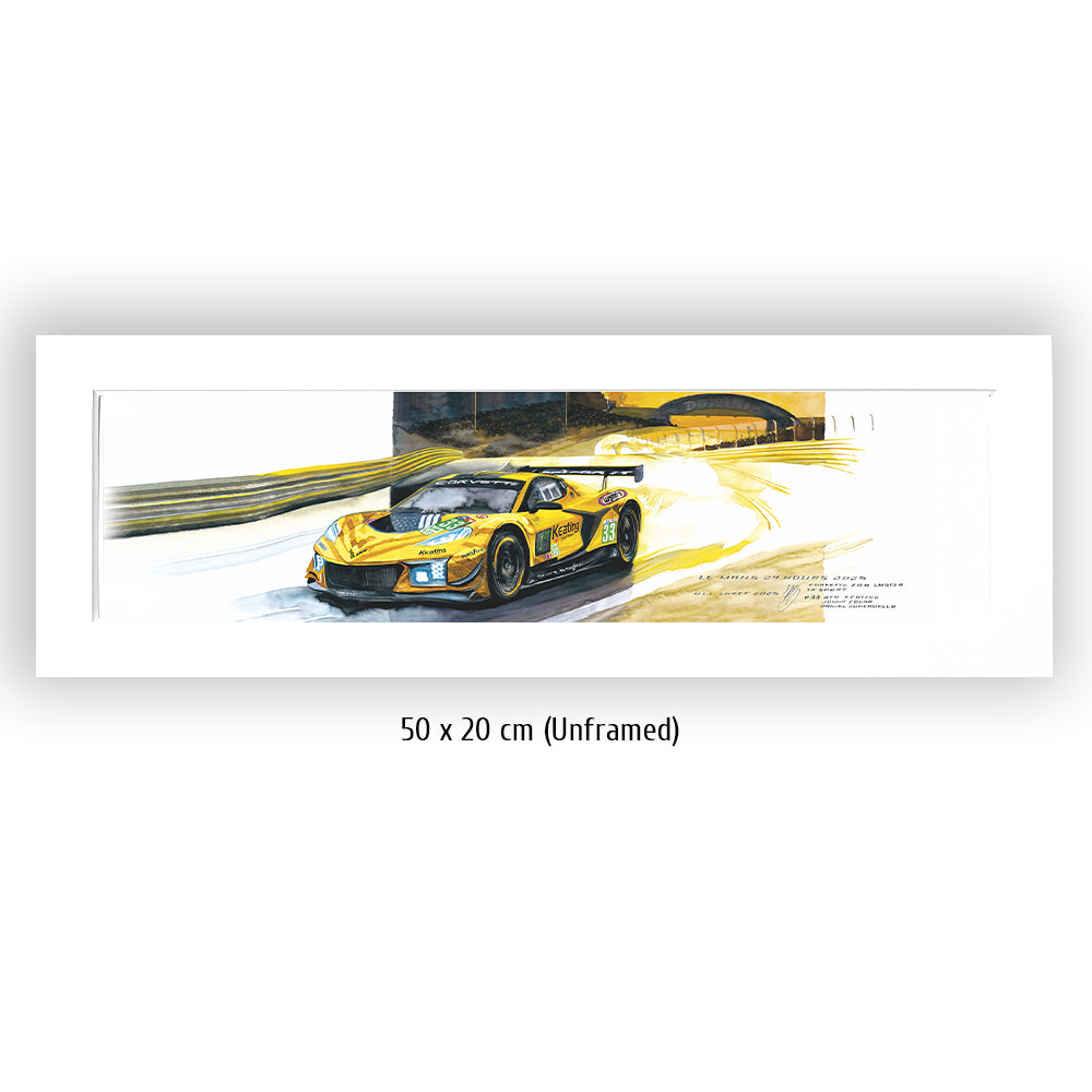 #1333 XS 'Corvette TF Sports #33'