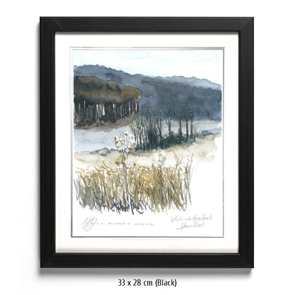 #1341  Naturschutzgebiet "Einzige Wiese"