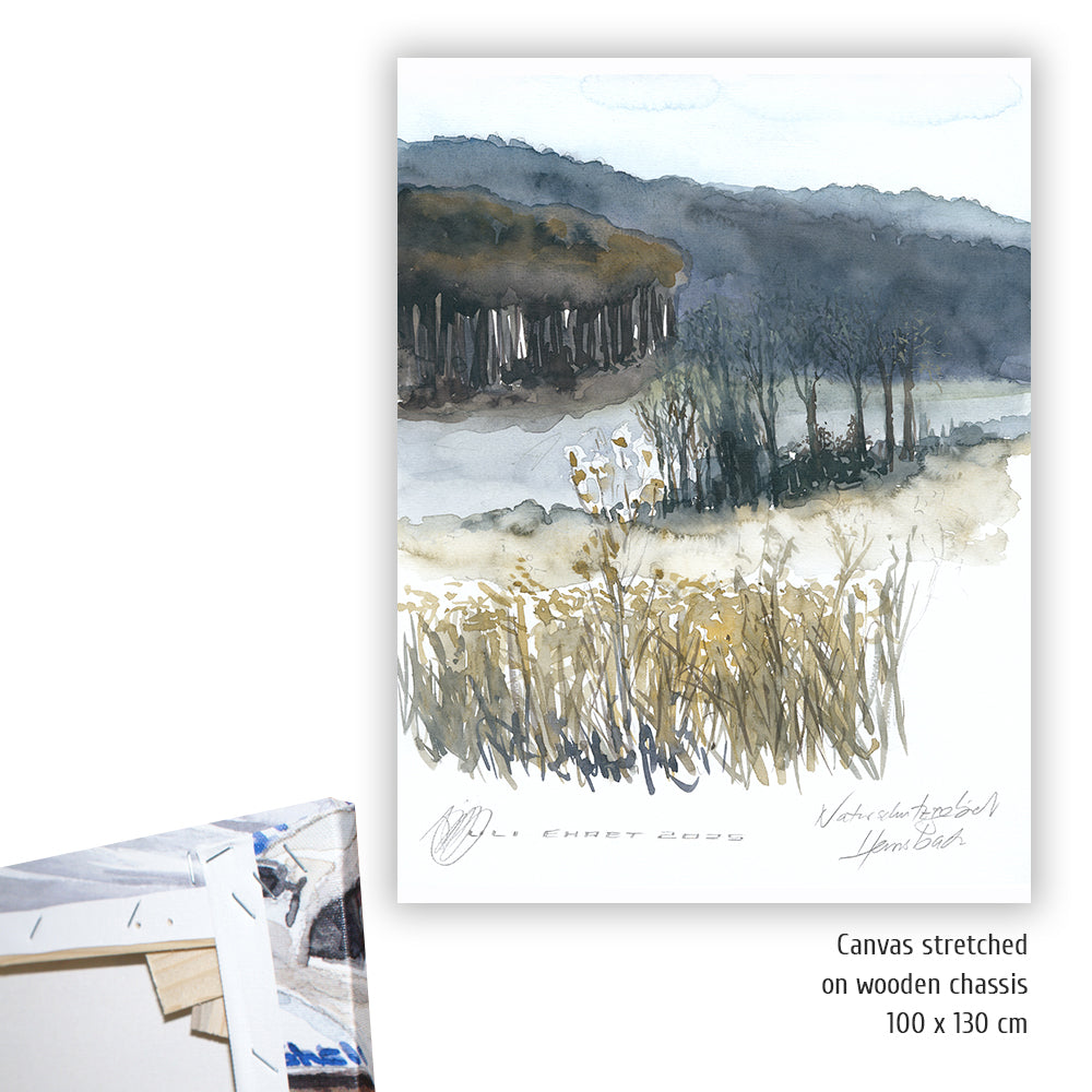 #1341 Naturschutzgebiet "Einzige Wiese"