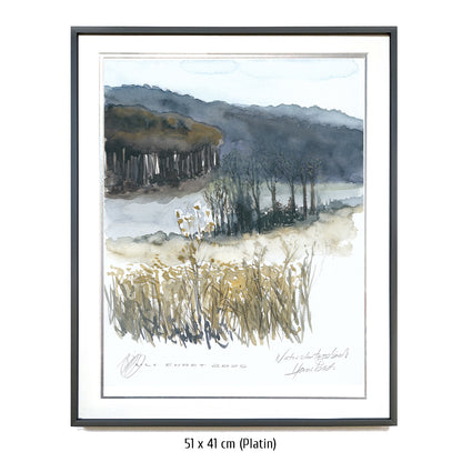 #1341  Naturschutzgebiet "Einzige Wiese"