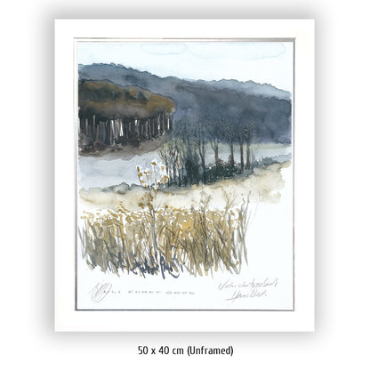 #1341  Naturschutzgebiet "Einzige Wiese"