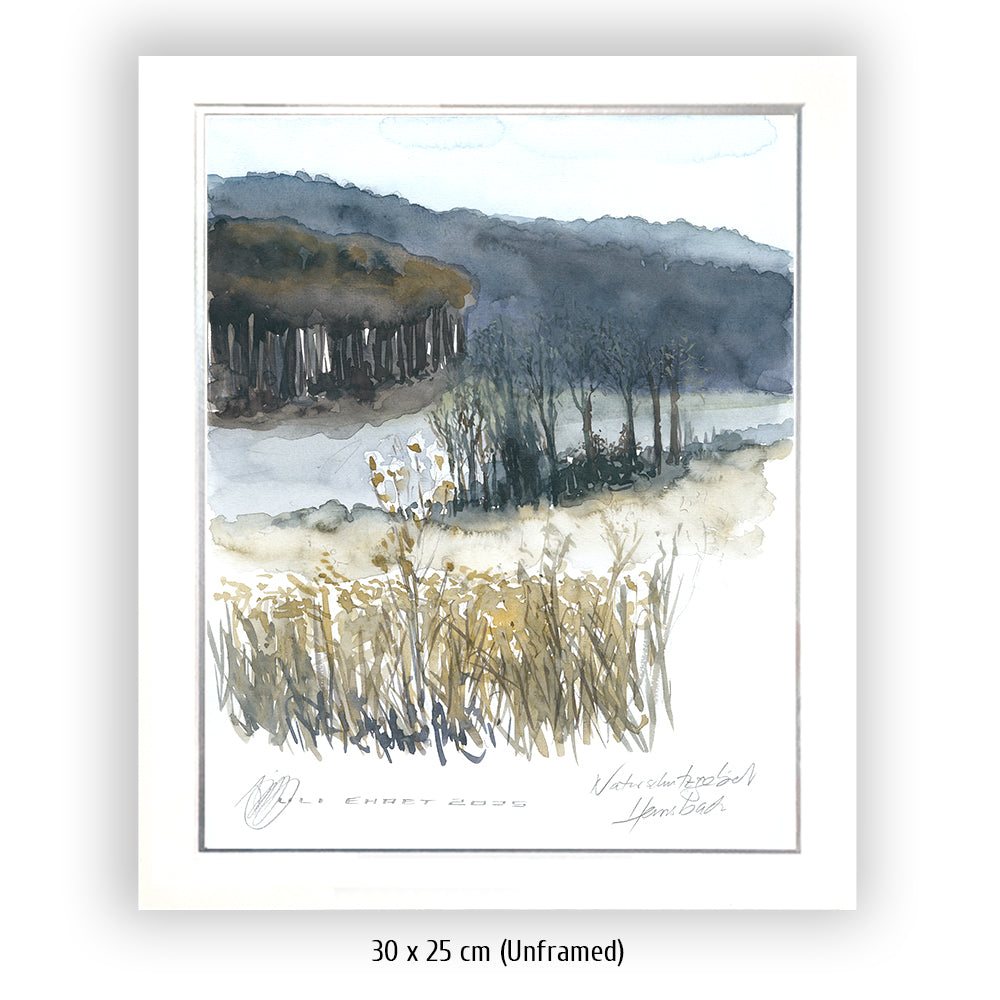 #1341 Naturschutzgebiet "Einzige Wiese"