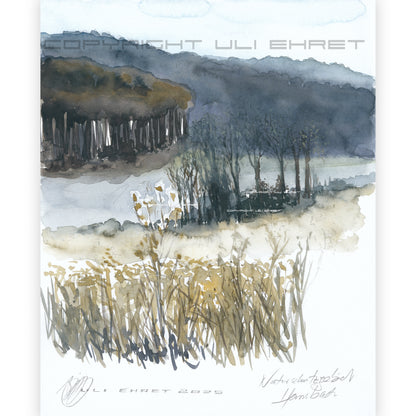 #1341  Naturschutzgebiet "Einzige Wiese"