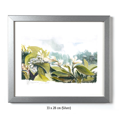 #1442 Luk´s Lake