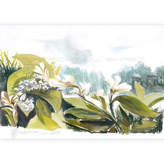 #1442 Luk´s Lake