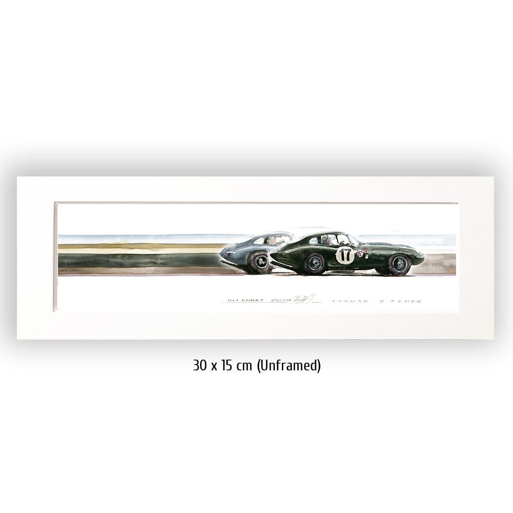 #0313 XS  'Jaguar E-Types'