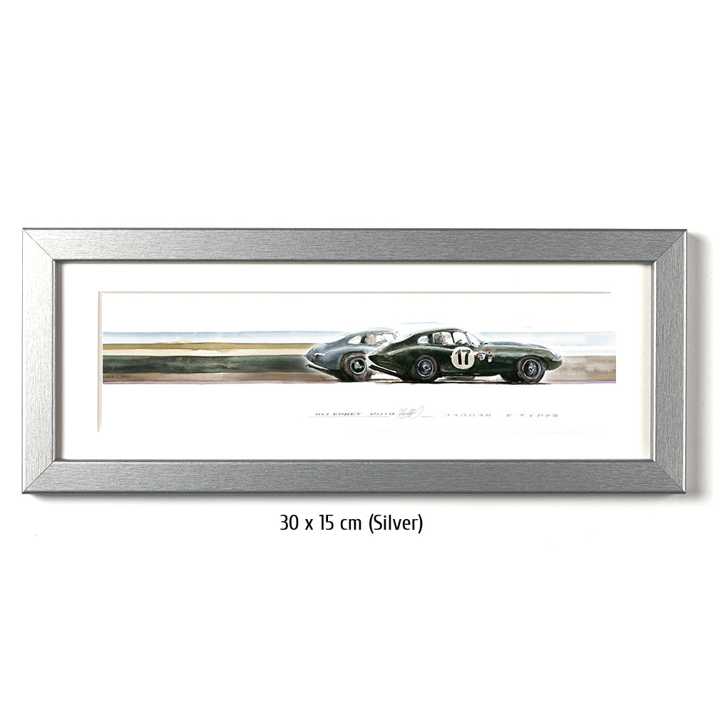 #0313 XS  'Jaguar E-Types'