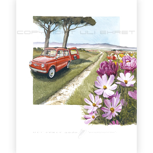 #0879 'Fiat 500 Giardinera