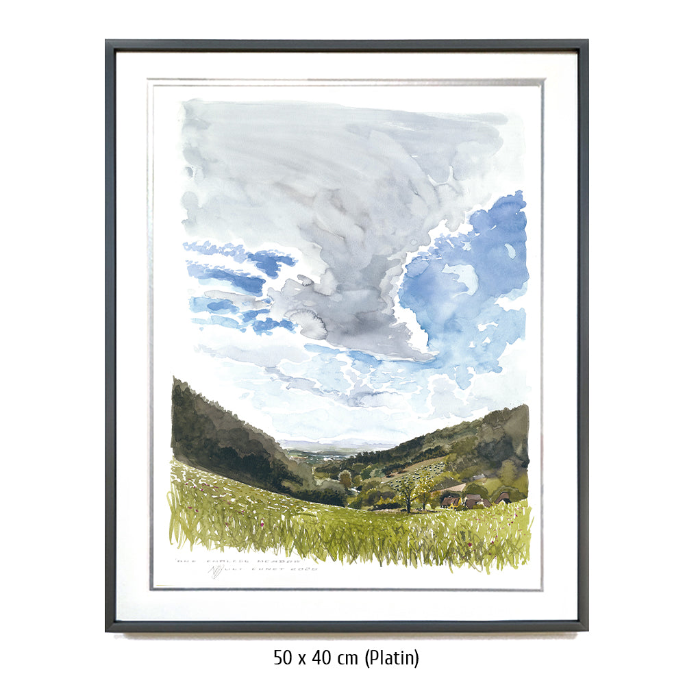 #0923 'One Endless Meadow