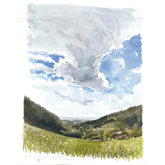 #0923 'One Endless Meadow