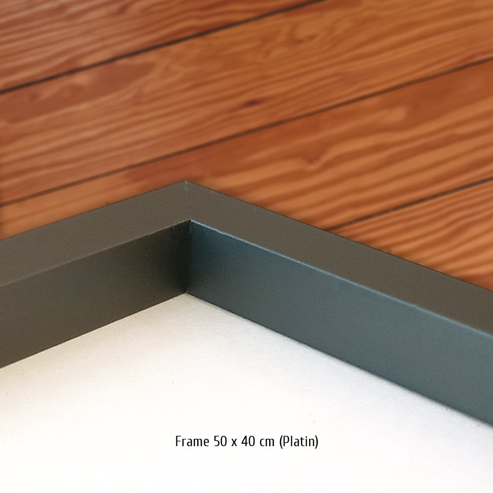 #1335  "Alpine A424 #35"