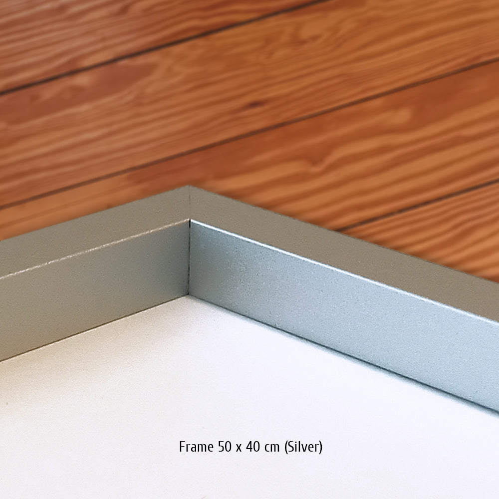 #1335  "Alpine A424 #35"