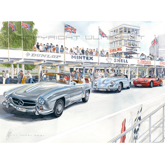 #1001 'Track Day at Goodwood