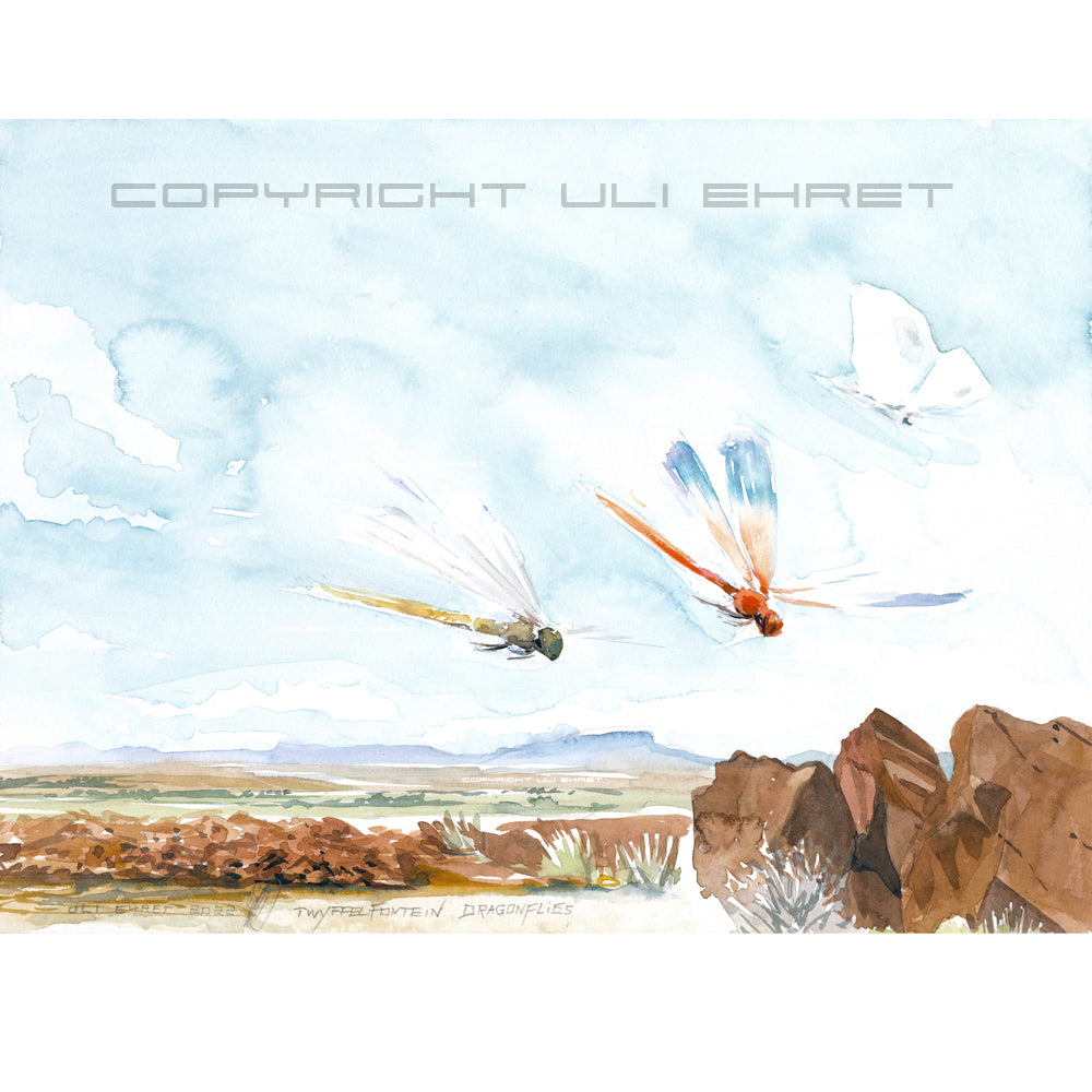 #1028 'Twyffelfontein Dragonflies