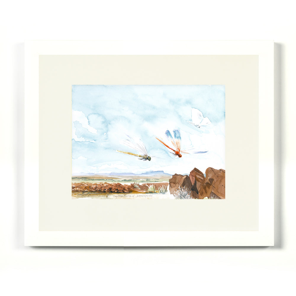 #1028 'Twyffelfontein Dragonflies