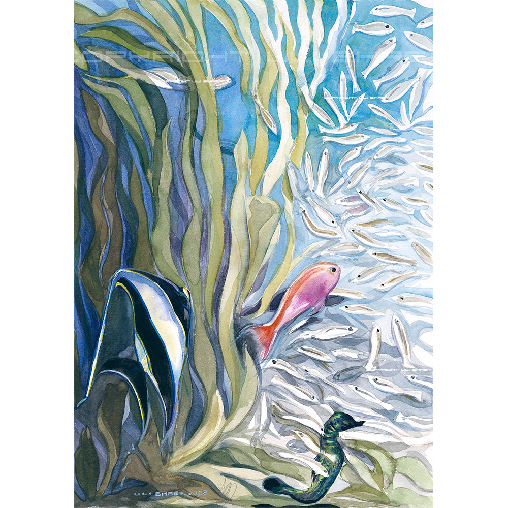 #1033 Aquarium du Cap