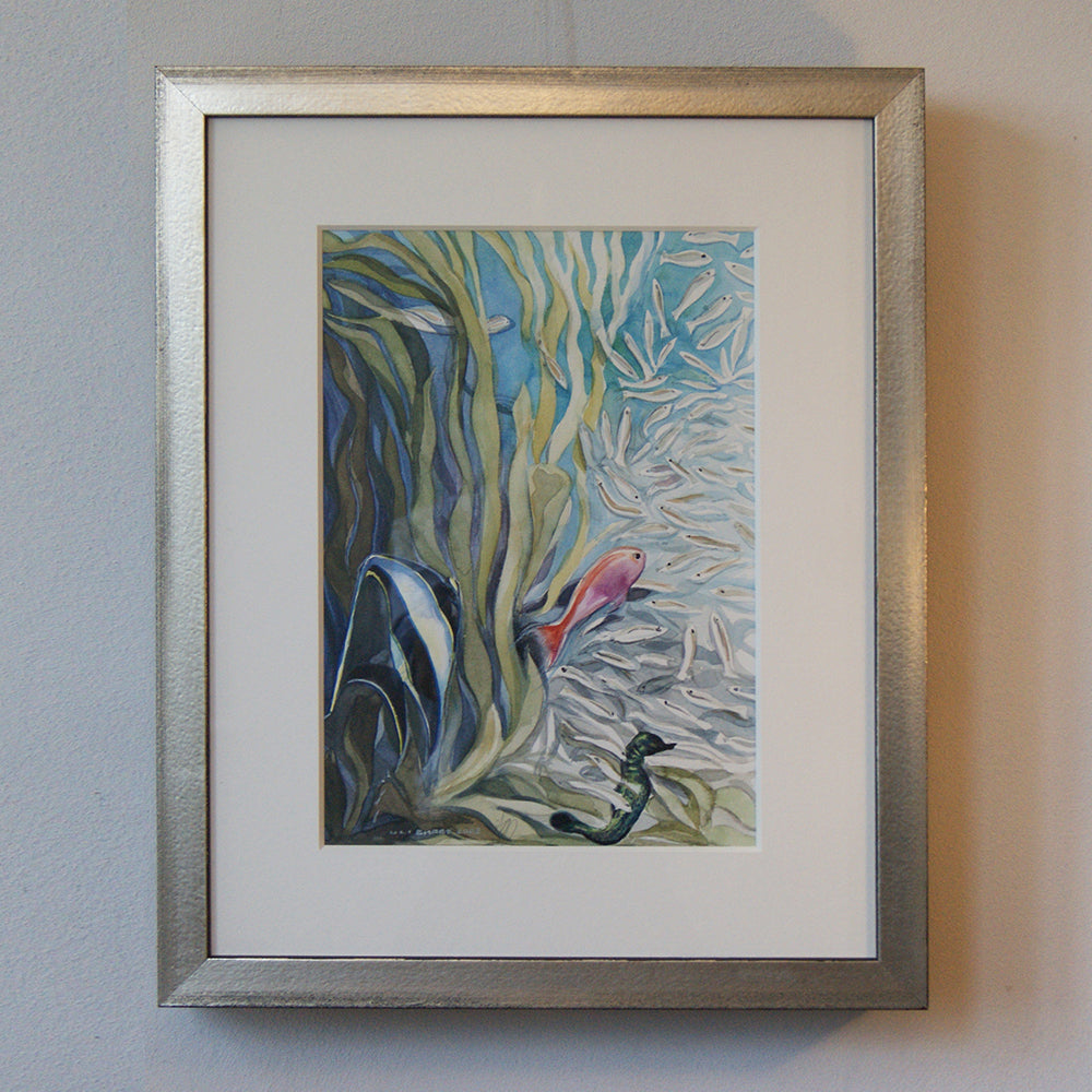 #1033 Aquarium du Cap