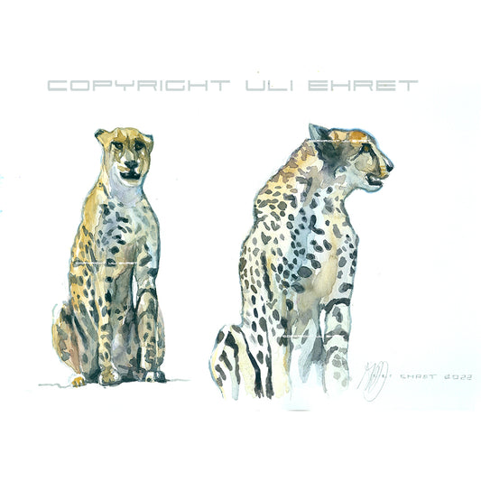#1038 ""Cheetah near Letaba""