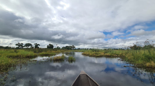 L1015 Mokoro Drive - Dugout canoe ride in the Okavango Delta