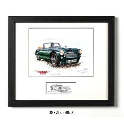 #0209  'Austin Healey 3000'