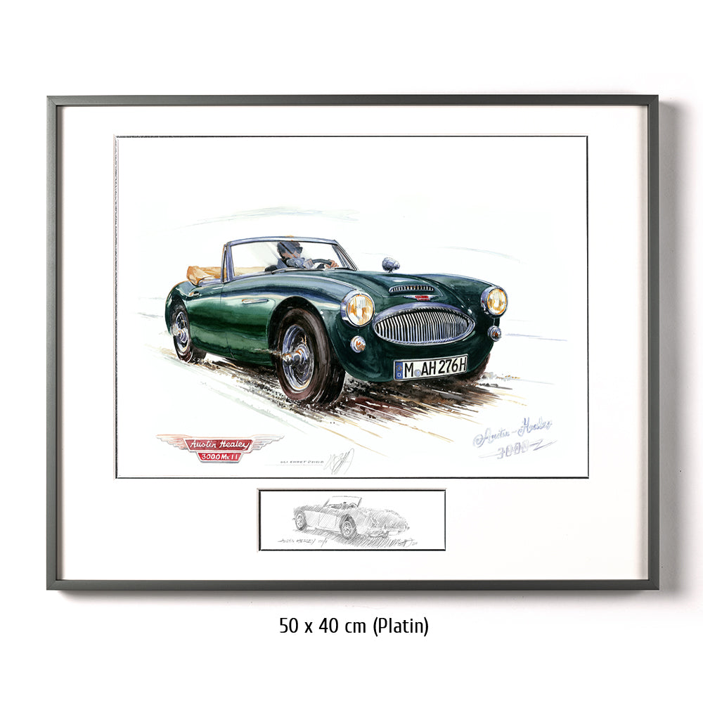 #0209 'Austin Healey 3000