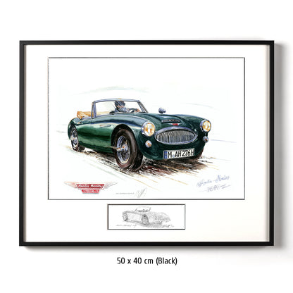 #0209  'Austin Healey 3000'
